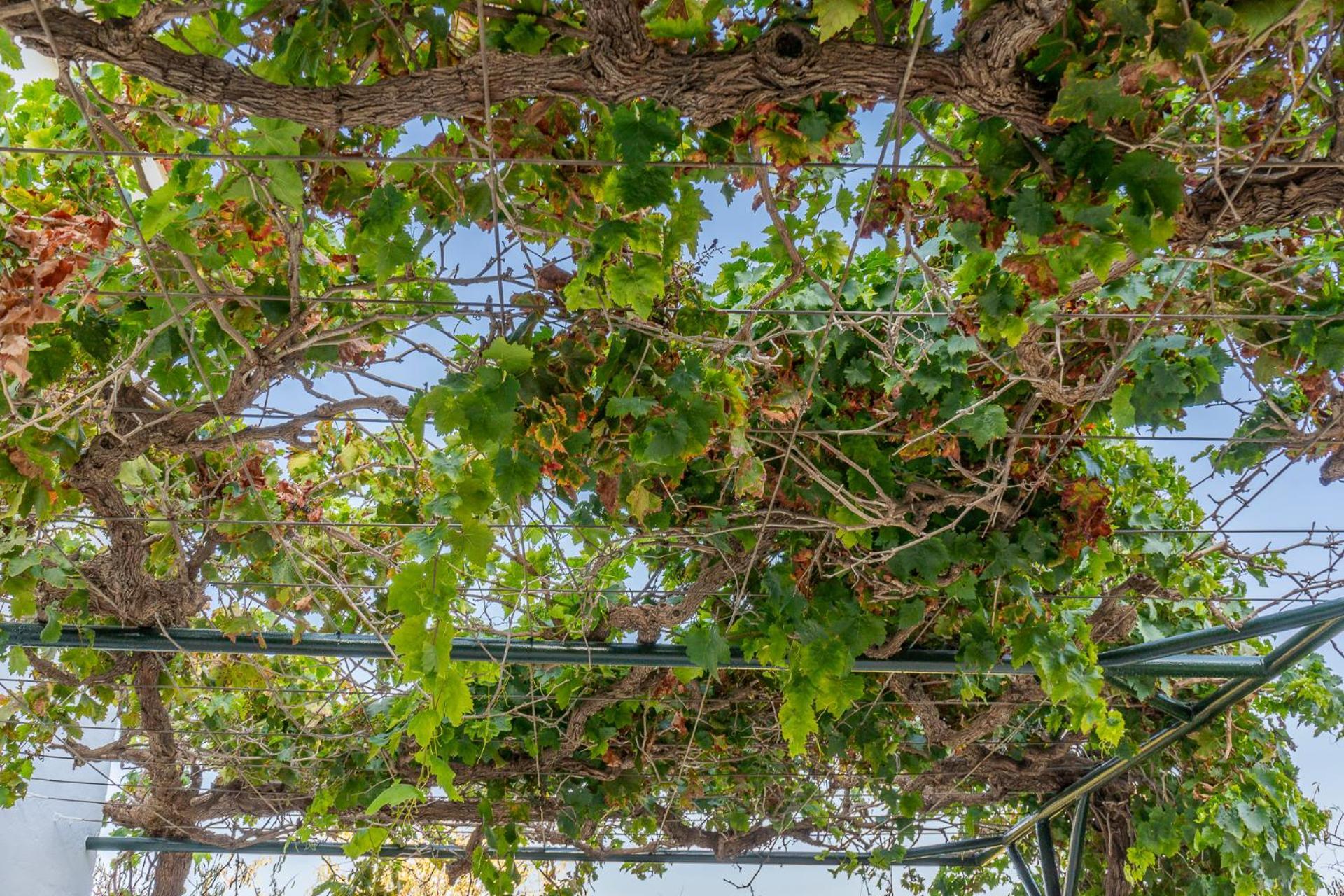 Paredones III Casa Rural Caminito Del Rey 埃尔乔罗 外观 照片